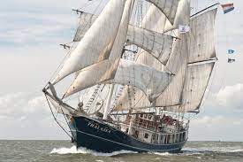 Moedigt u de Tall Ships aan vanaf de Thalassa op 14 juli?